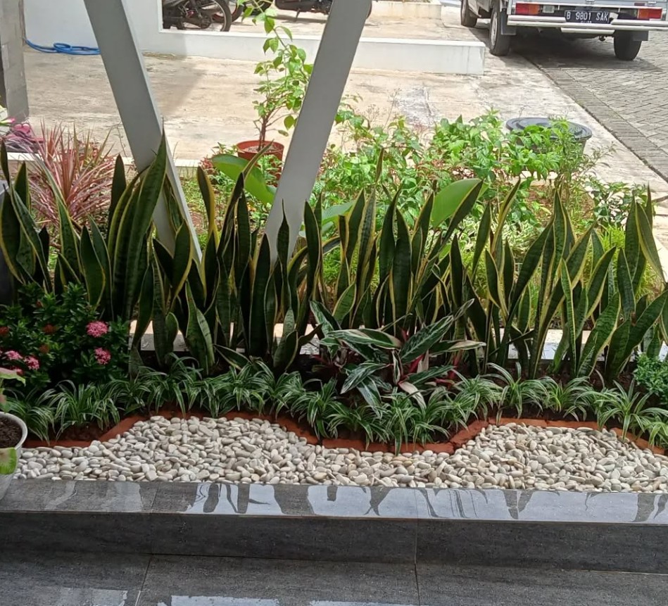 2. Taman Kecil Depan Rumah Kombinasi Tanaman Hijau dan Kerikil Putih
