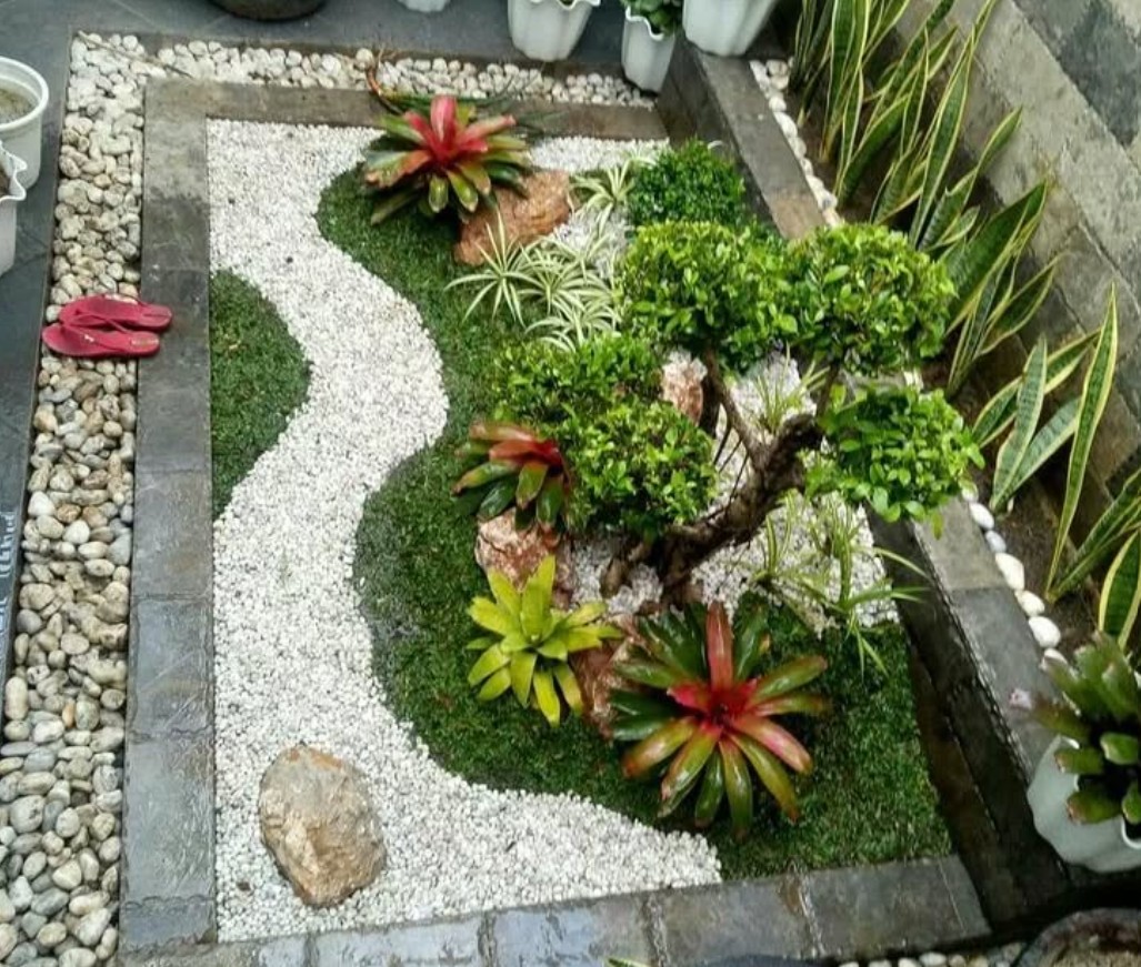 3. Taman Kering Depan Rumah dengan Bonsai