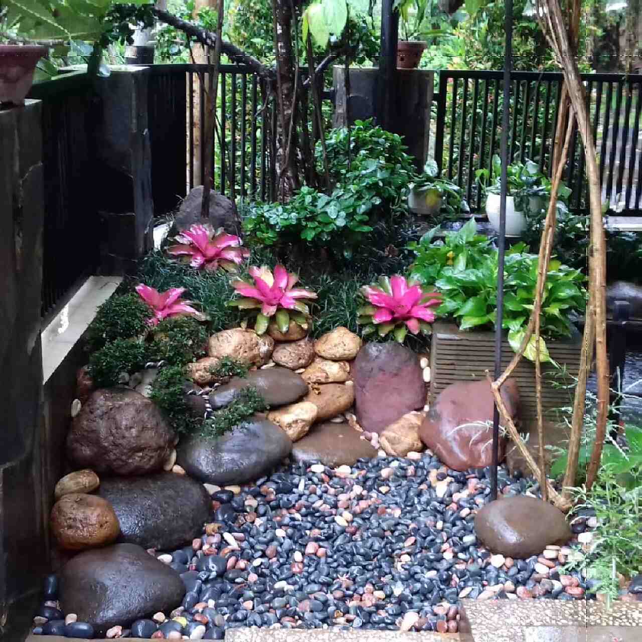 desain taman depan rumah