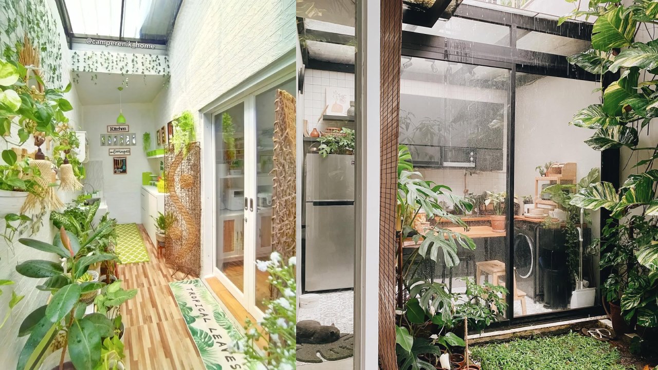 taman dalam rumah dekat dapur