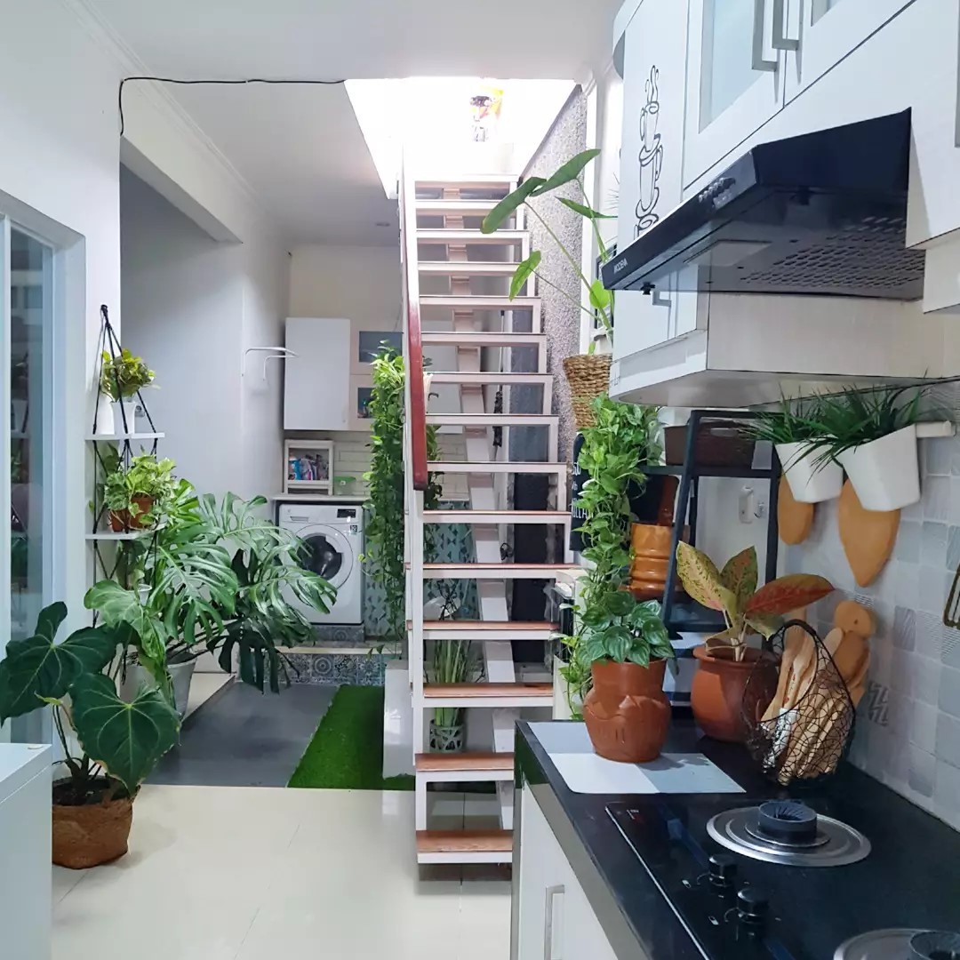 taman dalam rumah dekat dapur taman dalam rumah dekat dapur