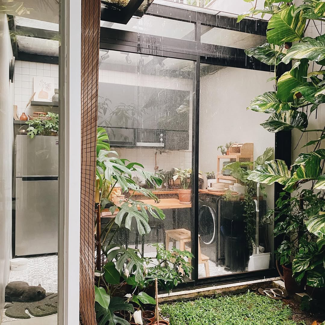 taman dalam rumah dekat dapur taman dalam rumah dekat dapur