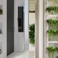 5 Inspirasi Desain Taman Vertikal Minimalis Simpel