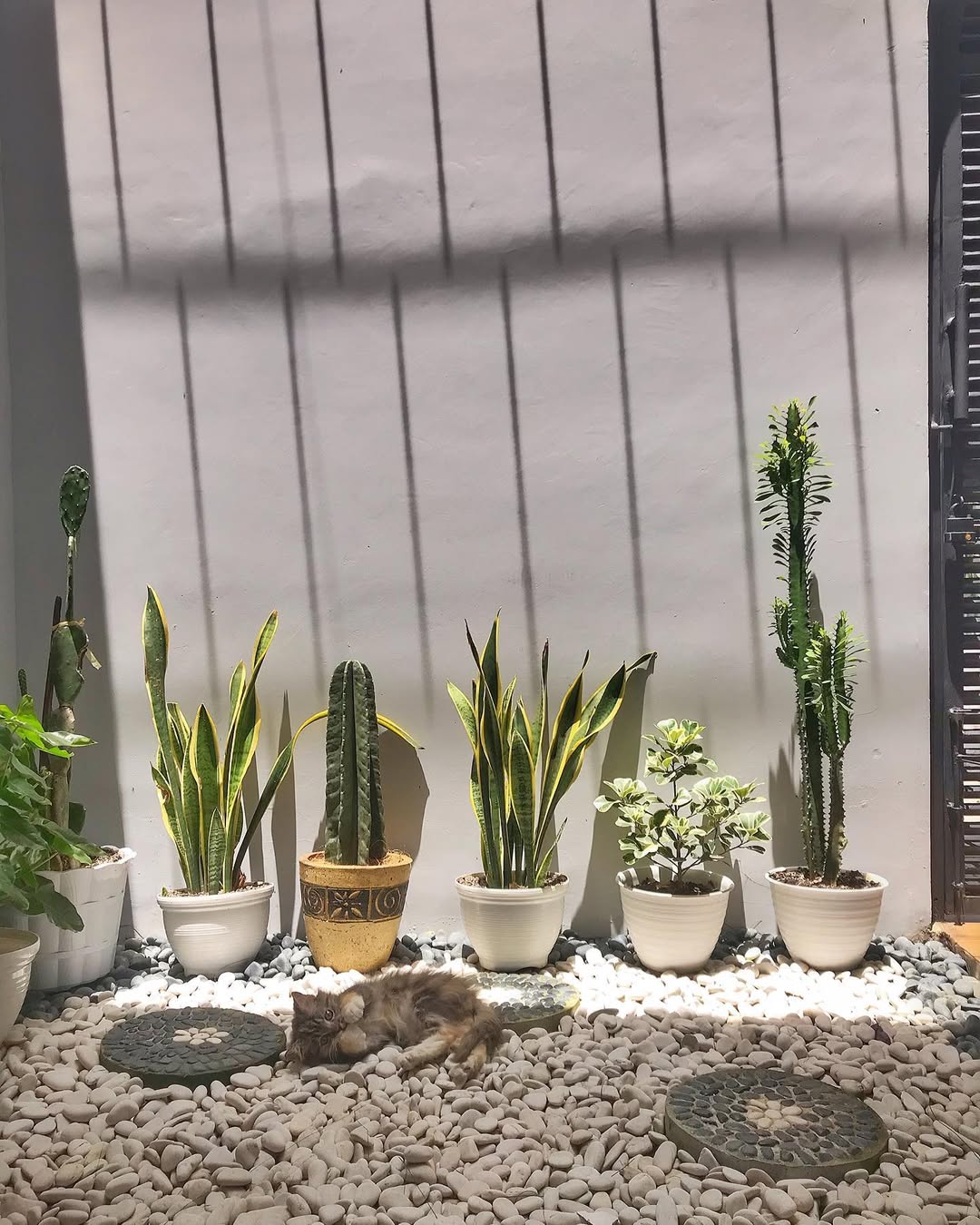 desain taman kering outdoor