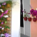 5 Inspirasi Desain Taman Anggrek di Rumah Minimalis dan Menawan