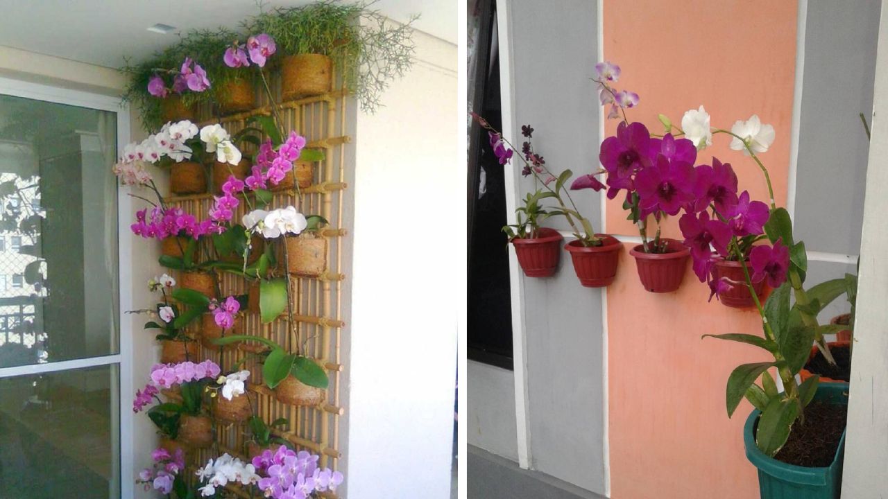 desain taman anggrek di rumah