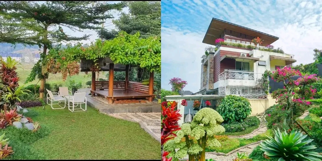 desain taman gazebo tanaman rambat