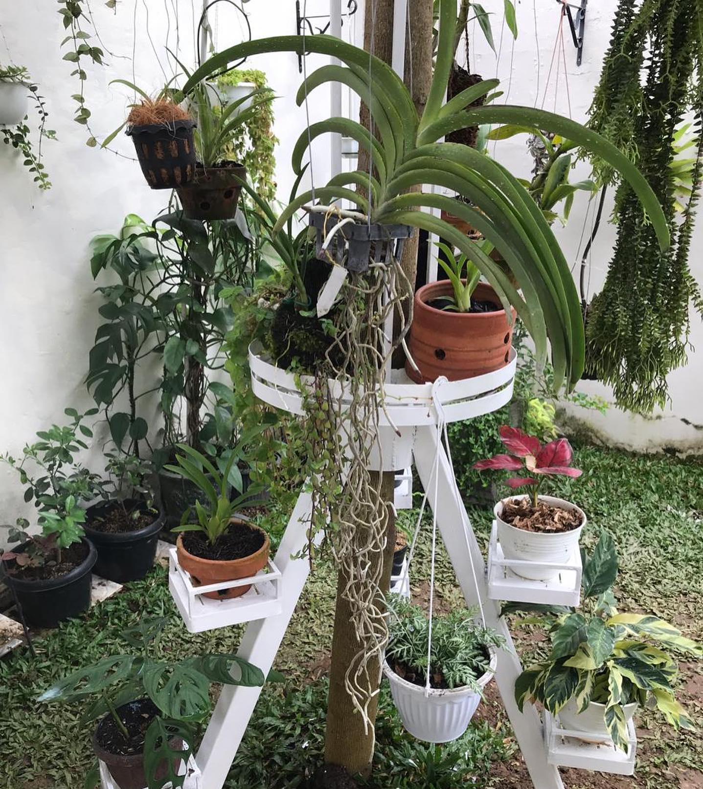 1. Desain Taman Bunga Minimalis dengan Rak Putih Bersusun