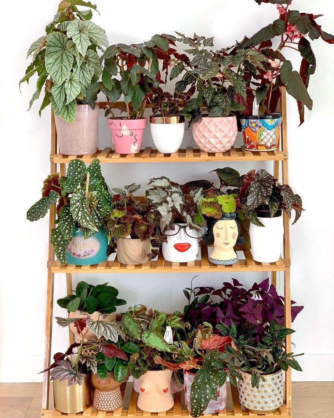 3. Desain Taman Bunga Minimalis dengan Rak 3 Tingkat