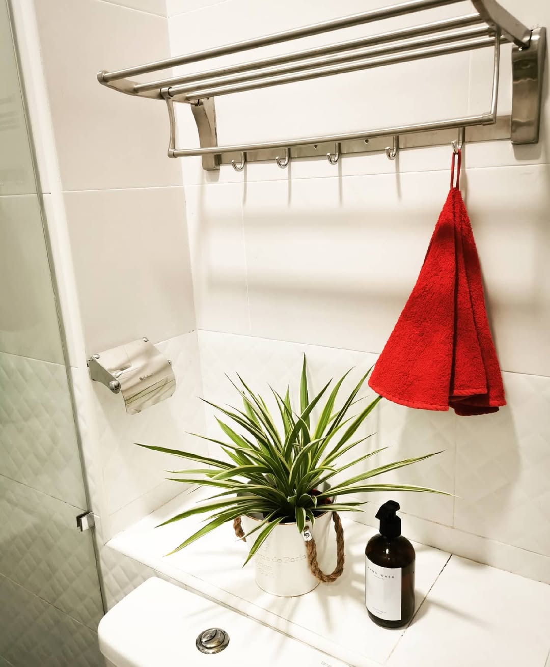 tanaman untuk kamar mandi, spider plant