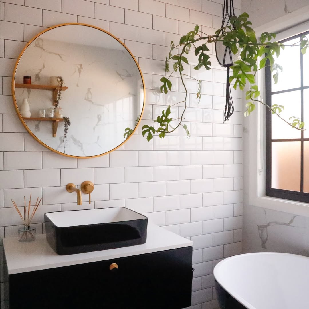 tanaman yang cocok untuk di dalam kamar mandi, monstera mini