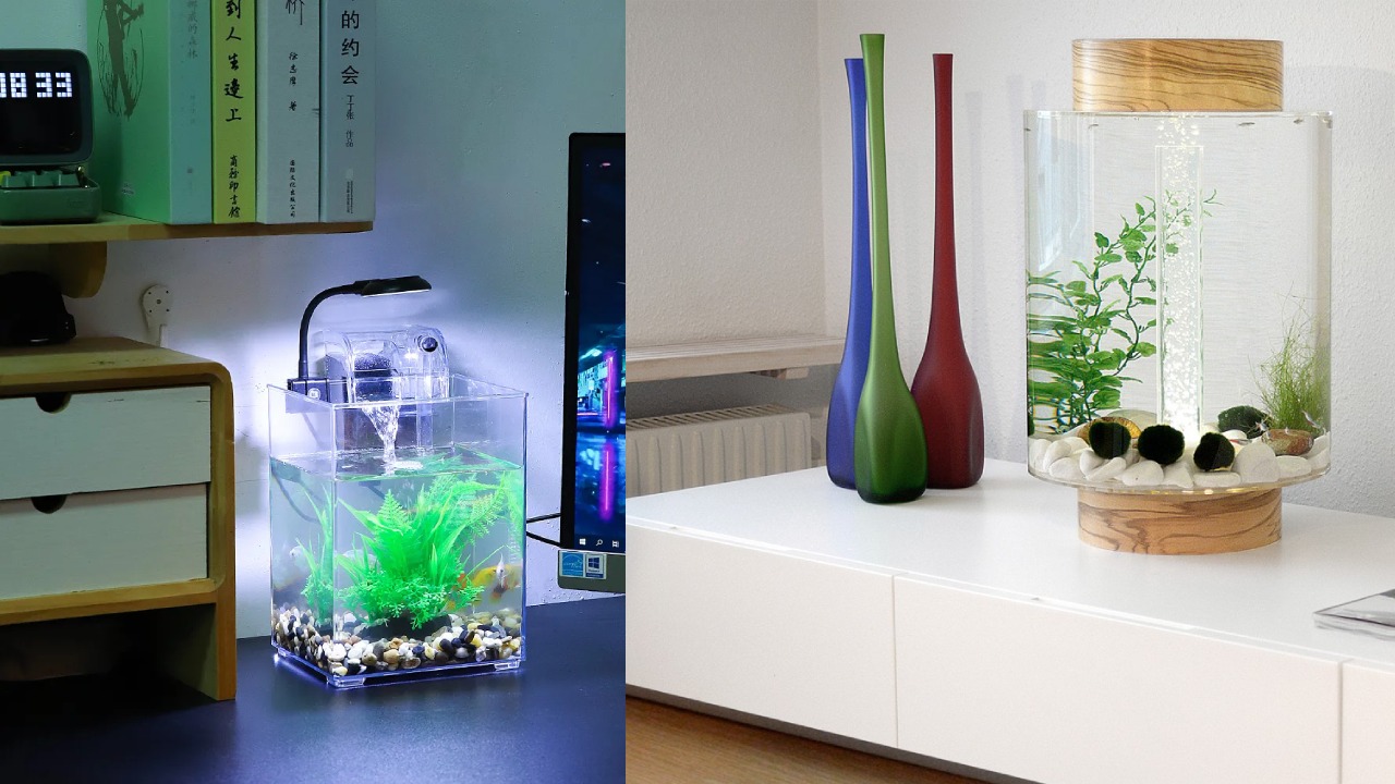 aquarium mini di kamar tidur
