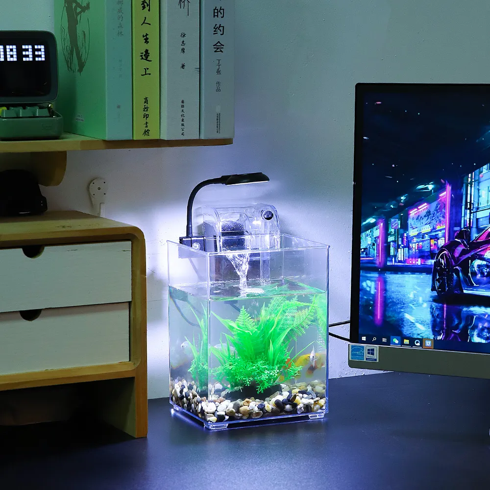 aquarium mini di kamar tidur