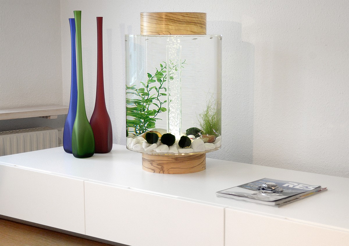 aquarium mini di kamar tidur