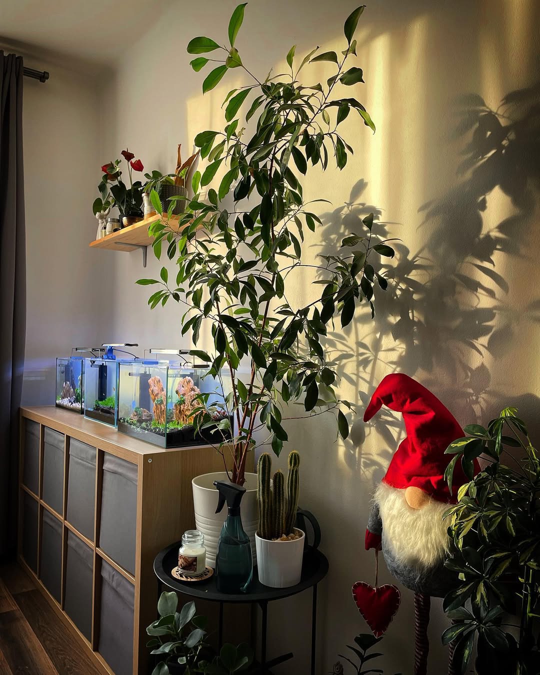 aquarium mini di kamar tidur