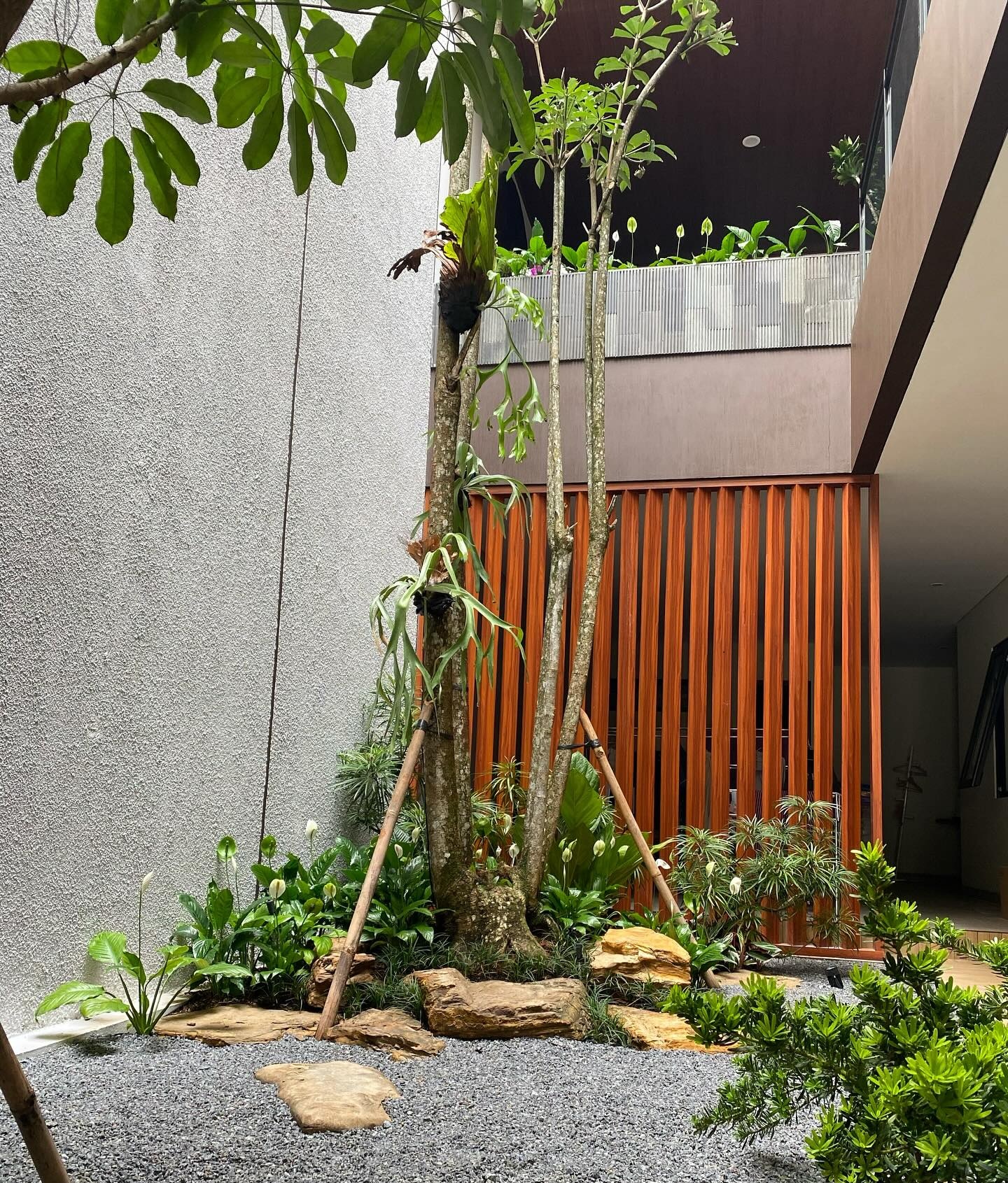 7. Desain Taman Batu Kerikil dengan Pohon Tinggi