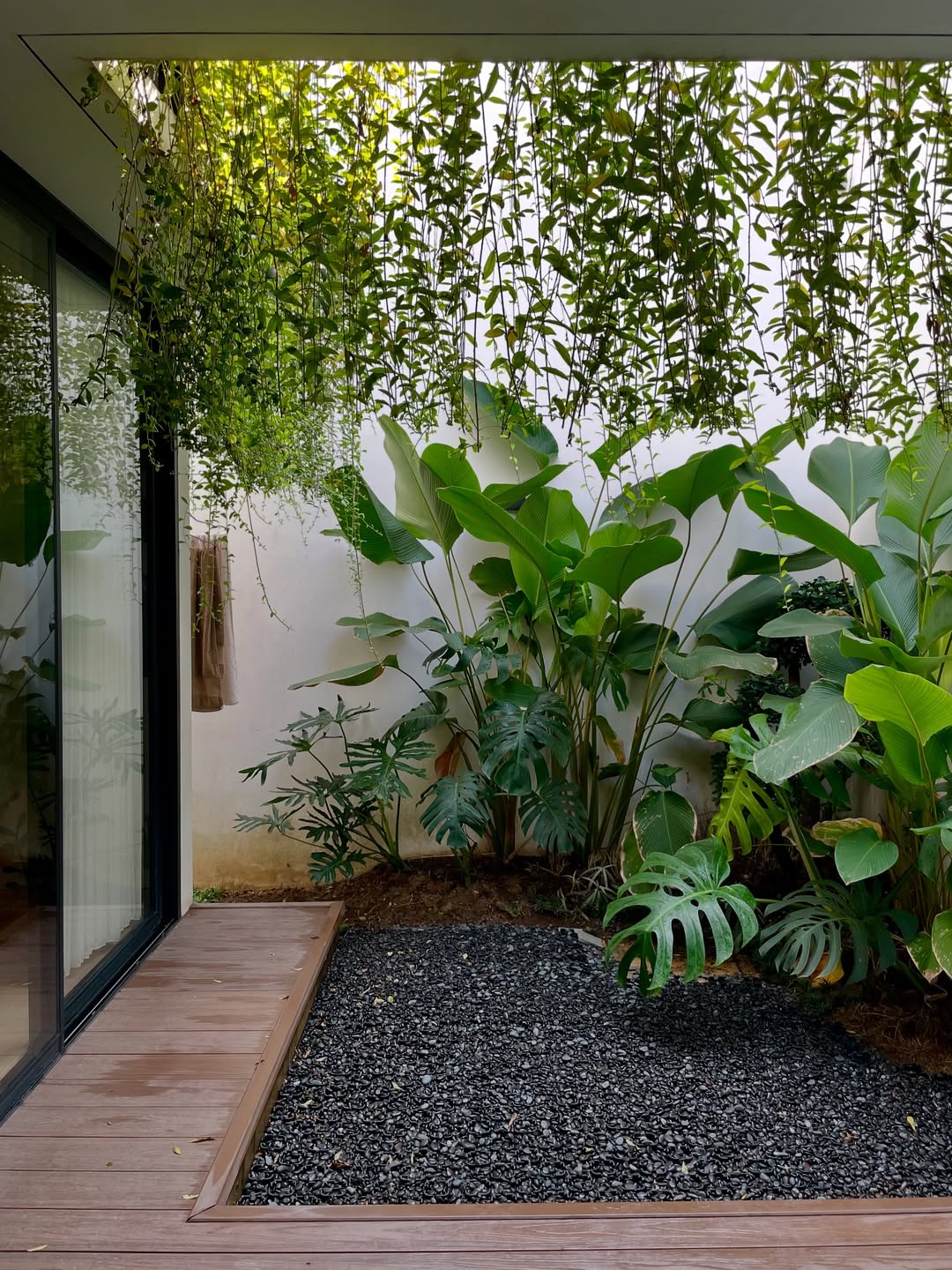 taman sudut rumah minimalis taman sudut rumah minimalis