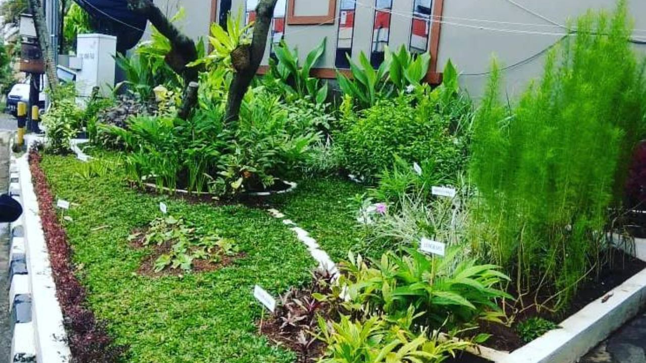 Contoh Desain Taman Toga Cantik