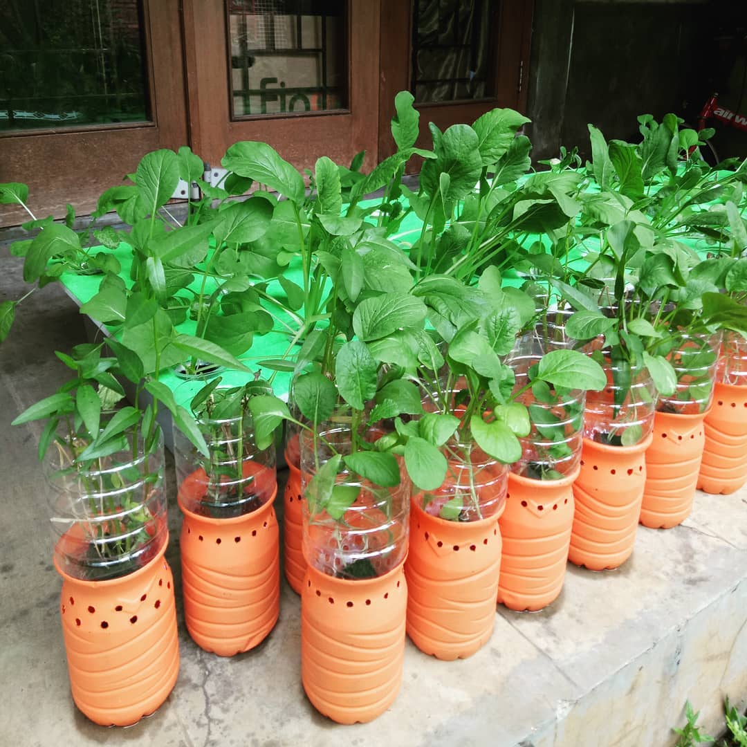 Desain Pot Bunga dari Botol Bekas Berwarna Terakota