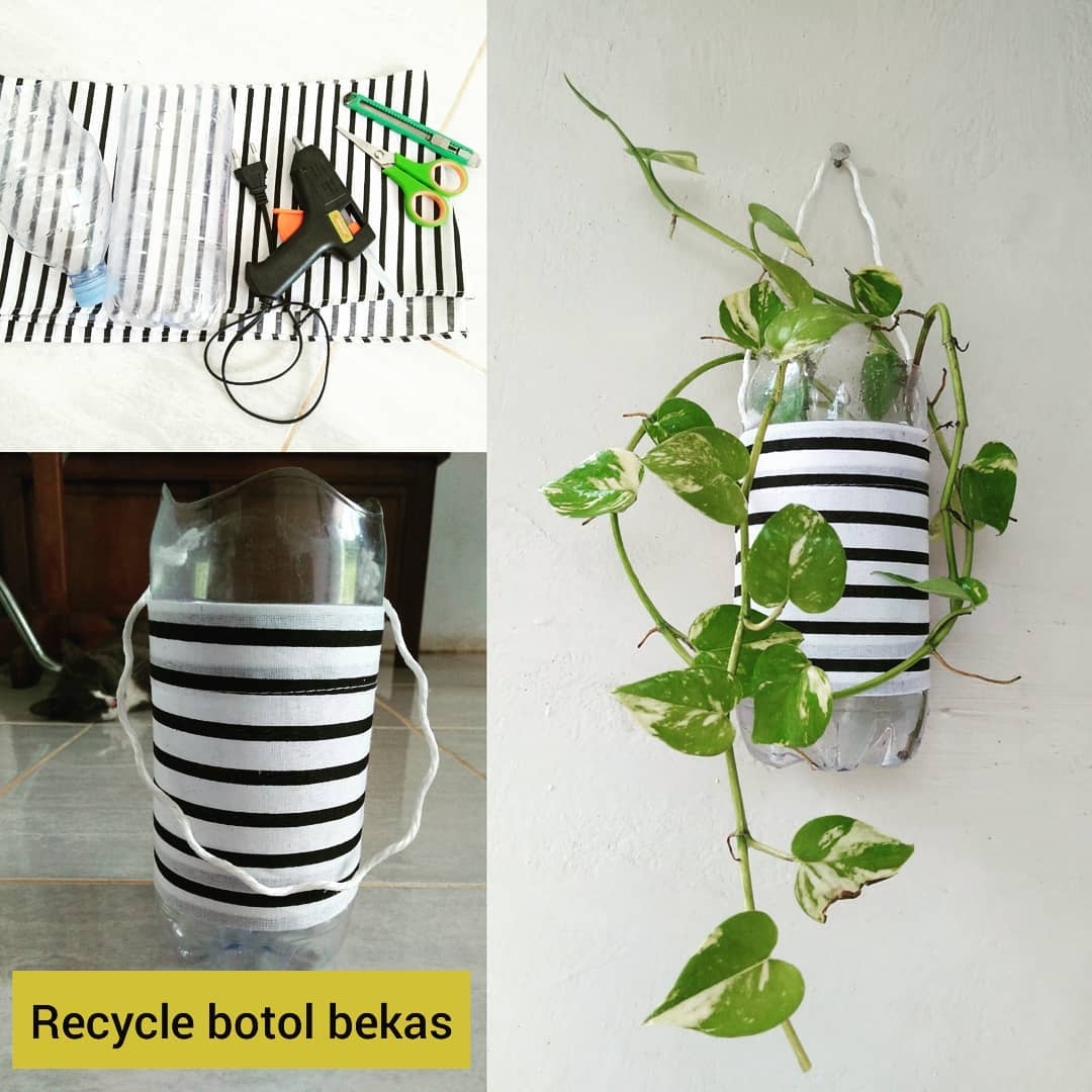 Desain Pot Bunga dari Botol Bekas dengan Motif Belang Hitam-Putih