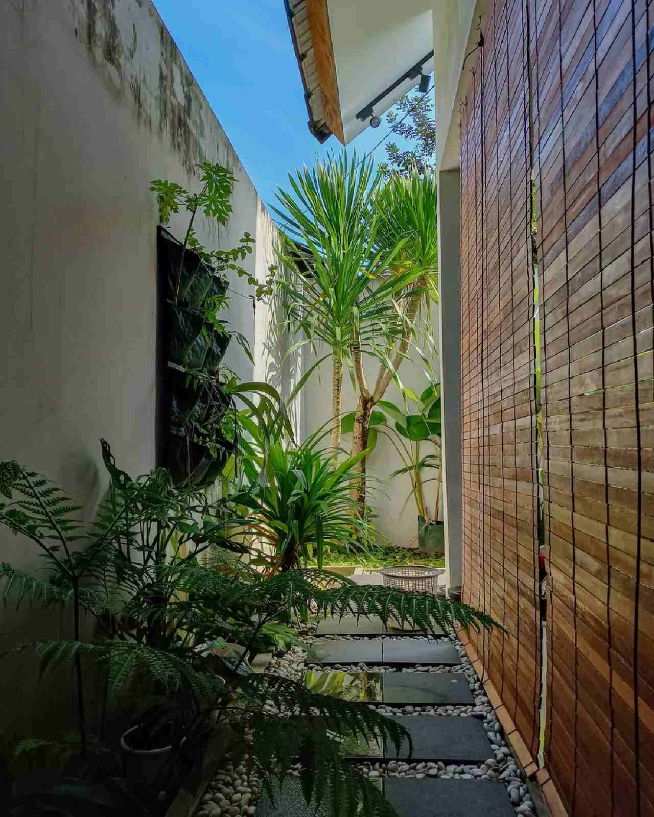 Desain Taman Tropis di Samping Rumah