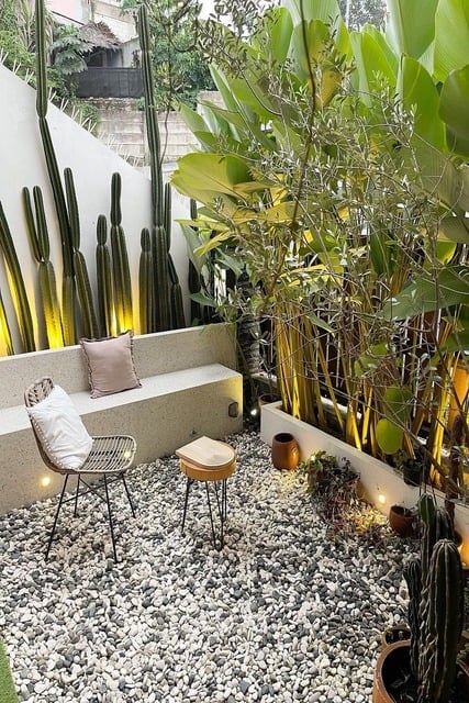 tanaman depan rumah estetik