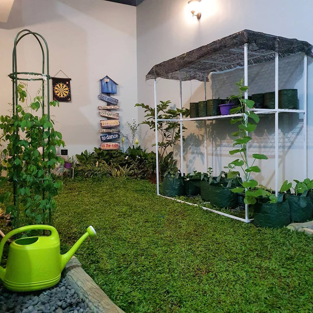 kebun di belakang rumah