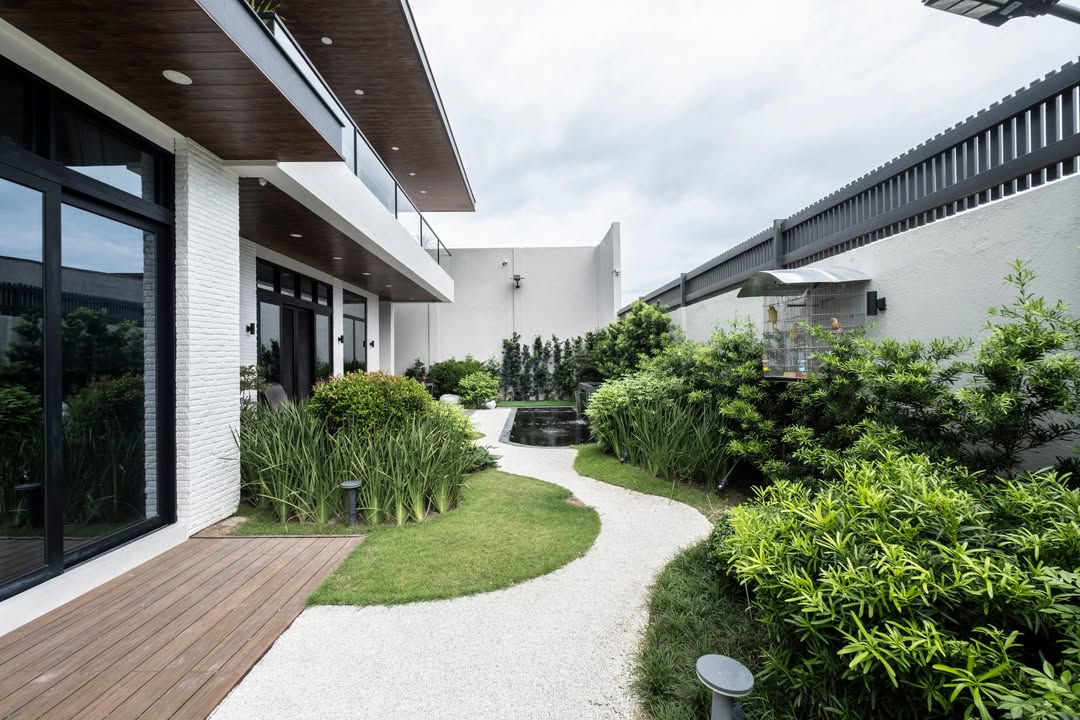 kebun di belakang rumah kebun di belakang rumah