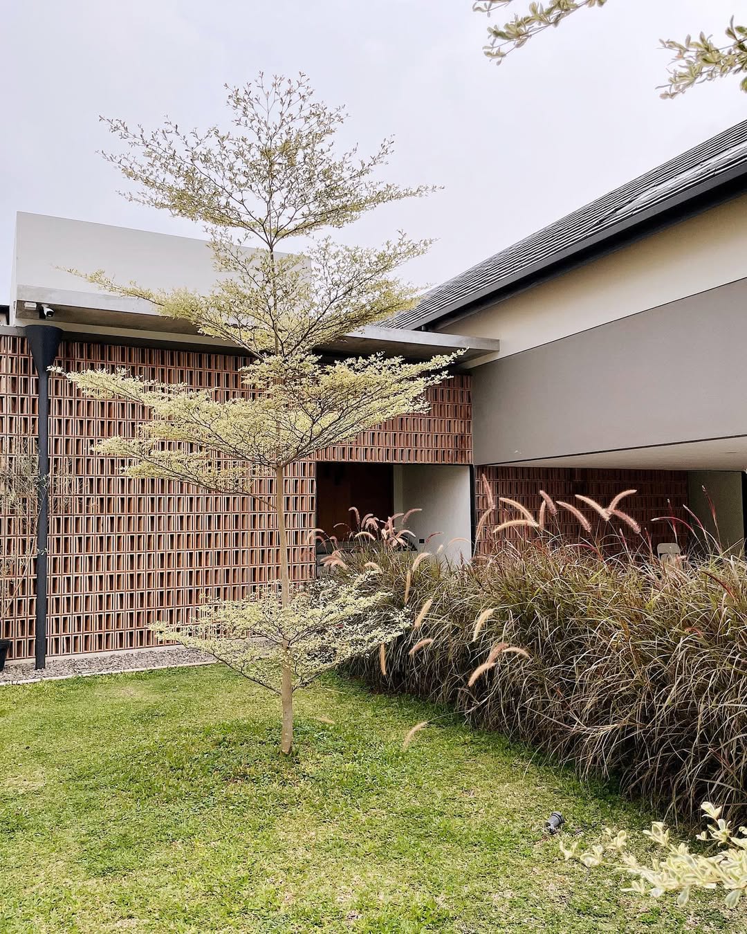 tanaman depan rumah estetik