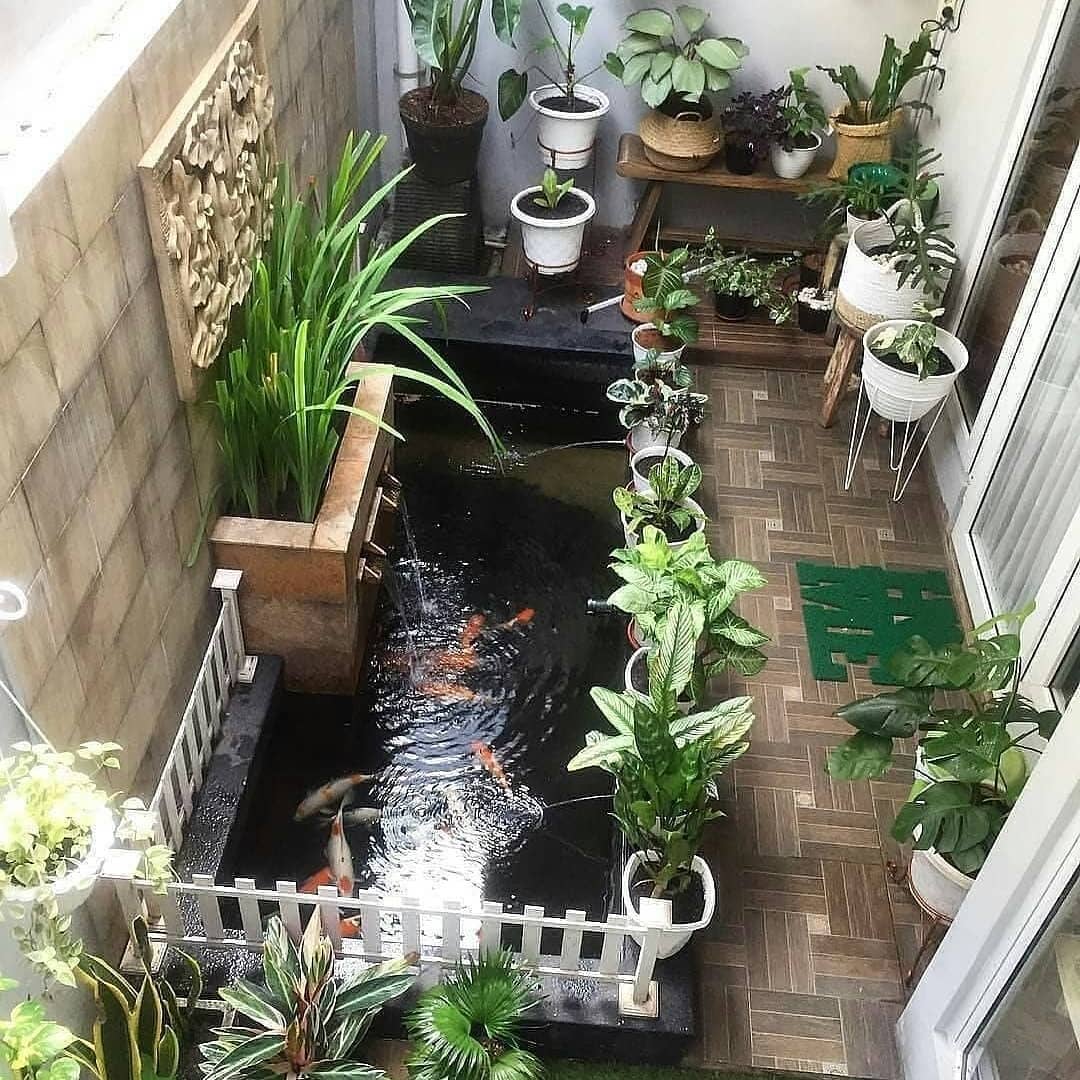 tanaman hias pinggir kolam ikan