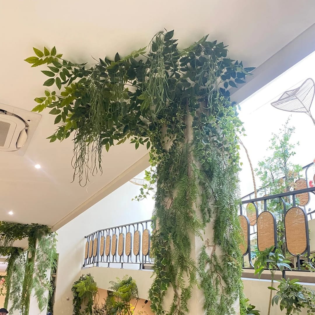 Tanaman Rambat Artifisial