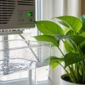 Manfaat dan Risiko Menggunakan Air AC untuk Tanaman di Rumah