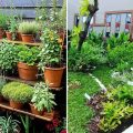 5 Contoh Desain Taman Toga Minimalis dan Kreatif di Rumah
