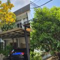 10 Pohon Peneduh Rumah yang Bikin Sejuk, Aman, dan Estetis