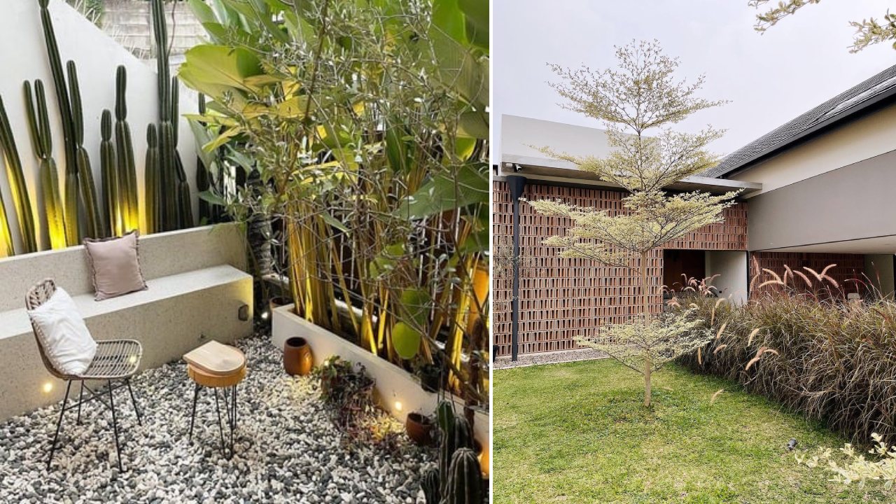 tanaman depan rumah estetik