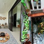 6 Inspirasi Tanaman Hias Pinggir Kolam Ikan agar Terlihat Asri dan Sejuk