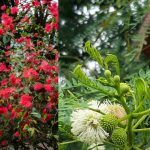 5 Jenis Tanaman Penahan Longsor di Sekitar Rumah agar Lebih Aman dan Asri