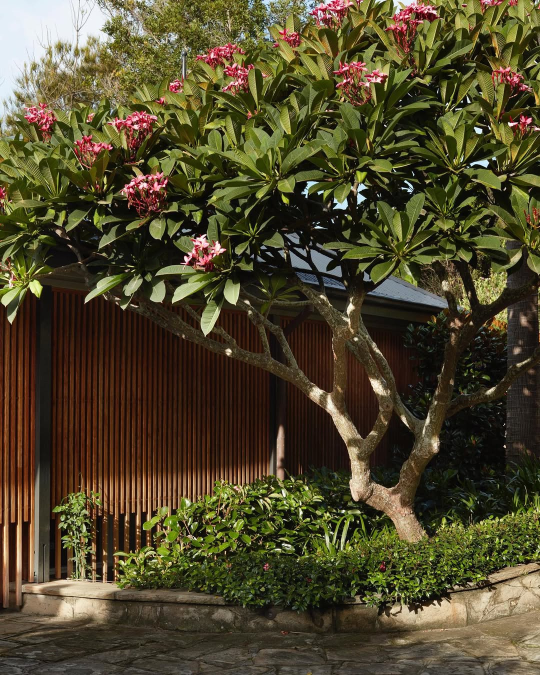 tanaman bunga yang bagus ditanam di depan rumah