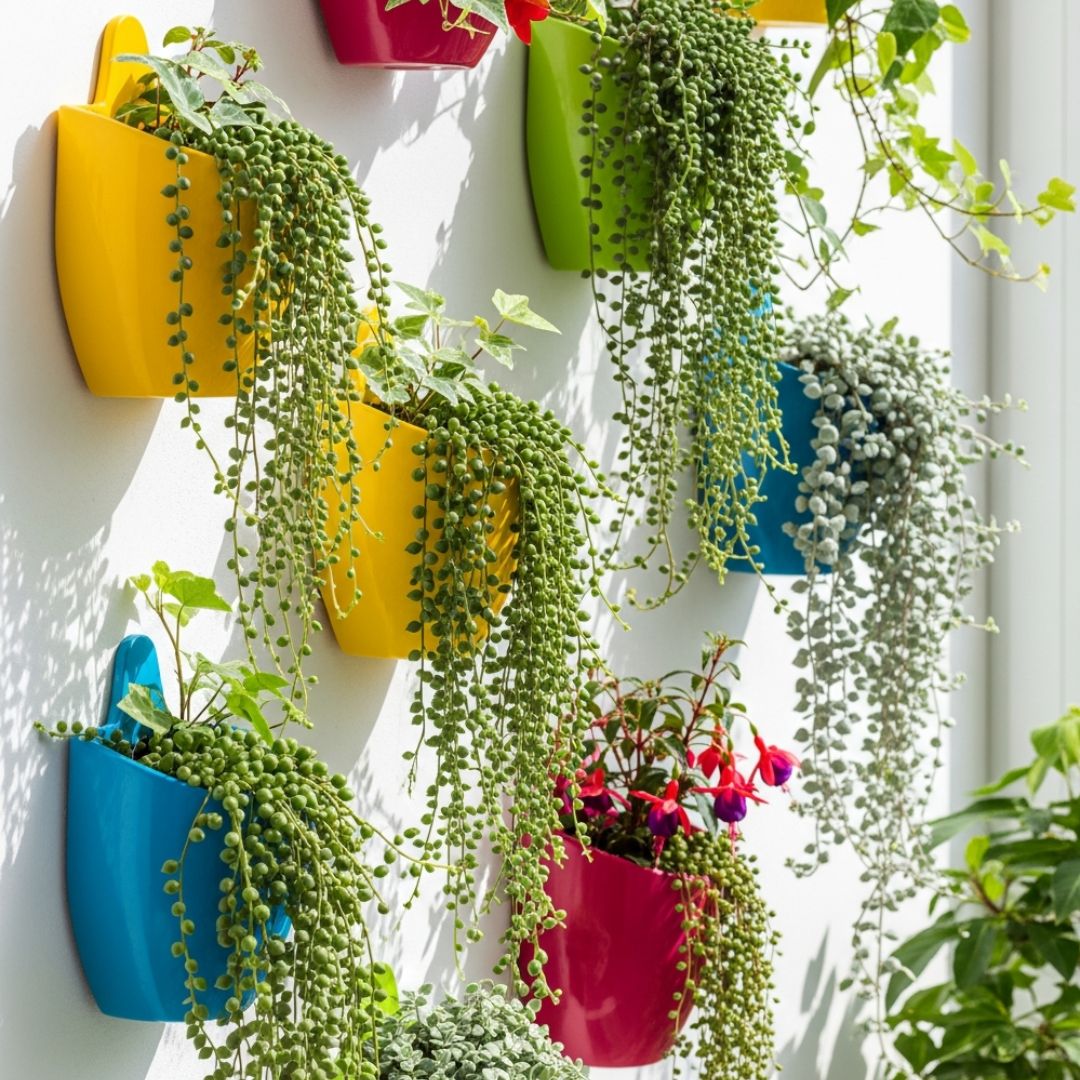 3. Pot Tanaman Hias Gantung