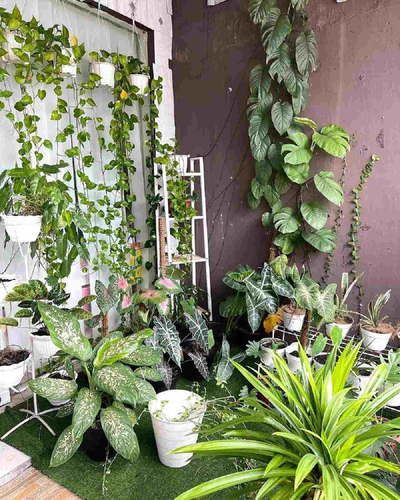 Model Taman Kecil Depan Rumah