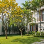 8 Pohon yang Bagus Ditanam di Depan Rumah