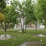 8 Tanaman Buah yang Tahan Genangan Air untuk di Kebun Rumah