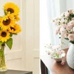 7 Jenis Bunga Aesthetic untuk Mempercantik Rumah