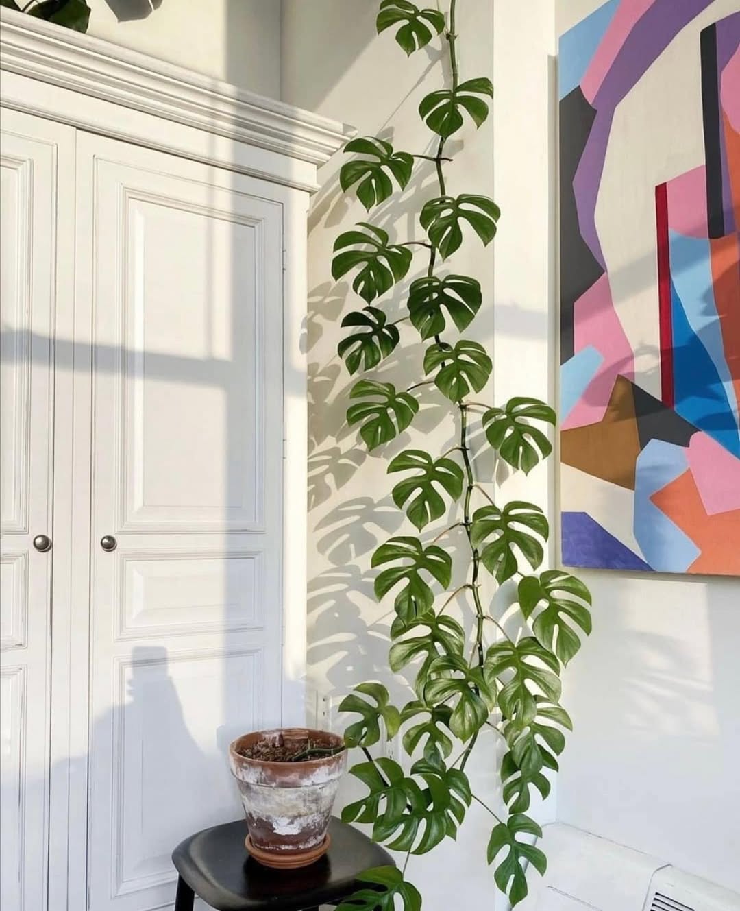 janda bolong mini murah tapi bagus janda bolong mini murah tapi bagus