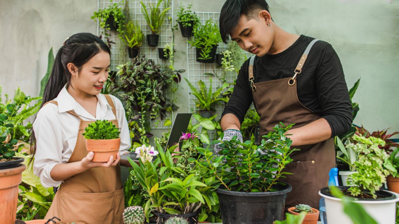 Cara Menata Kebun di Halaman Rumah agar Tampak Rapi dan Asri