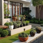 5 Jenis Tanaman Berduri untuk Menghias Halaman Rumah