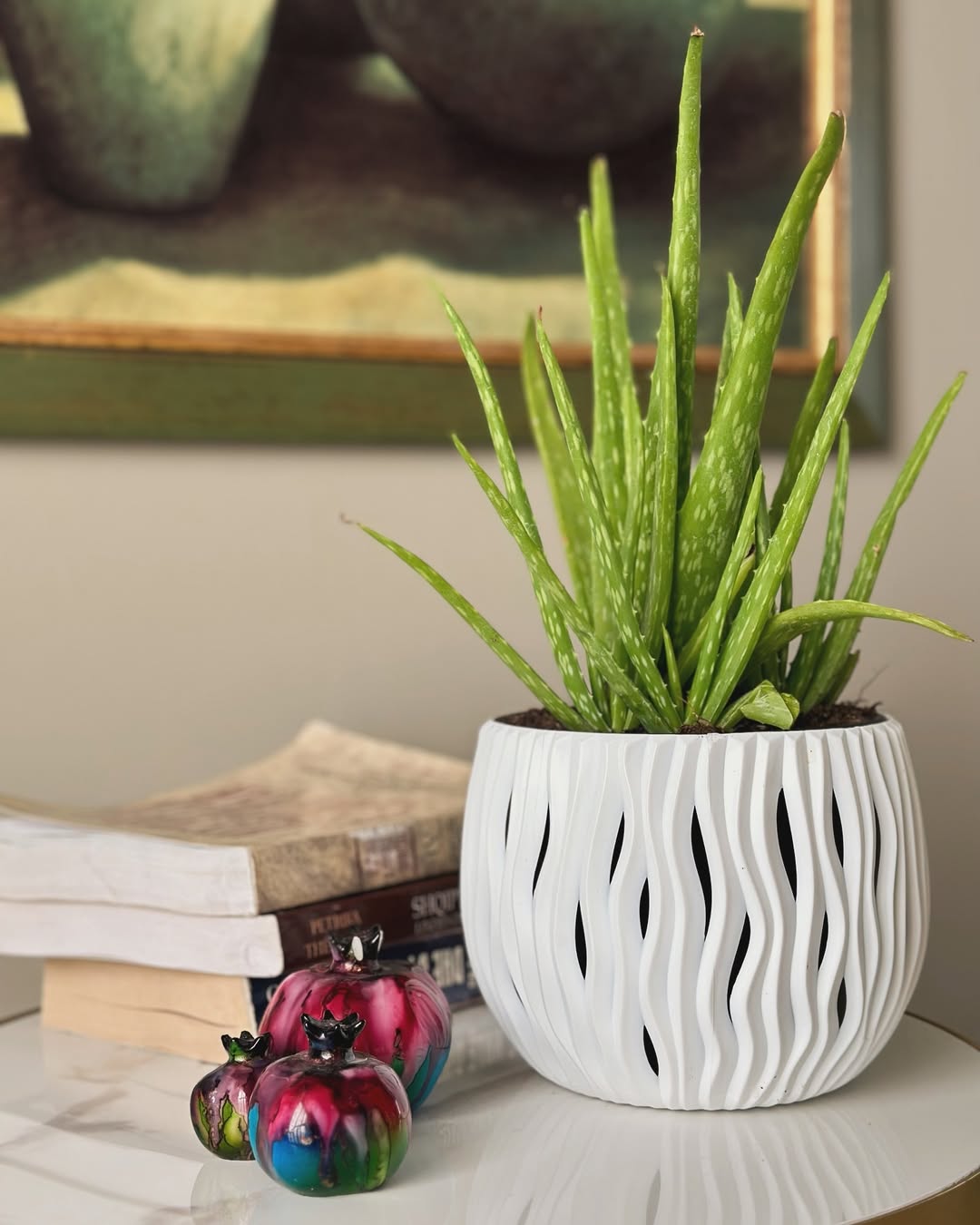 jenis-jenis sukulen dan gambarnya