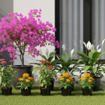 8 Jenis Tanaman Bunga yang Mudah Dirawat, Cocok Buat Pemula