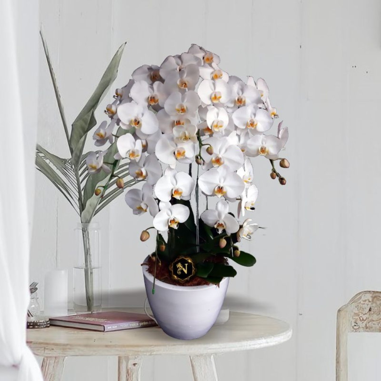 warna cat ruang tamu yang sejuk warna cat ruang tamu yang sejuk