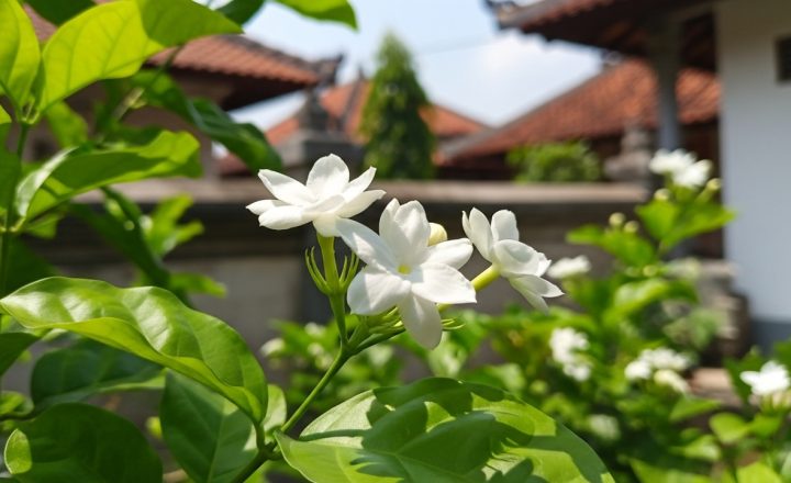 5 Jenis Bunga yang Mudah Ditanam untuk Mempercantik Rumah